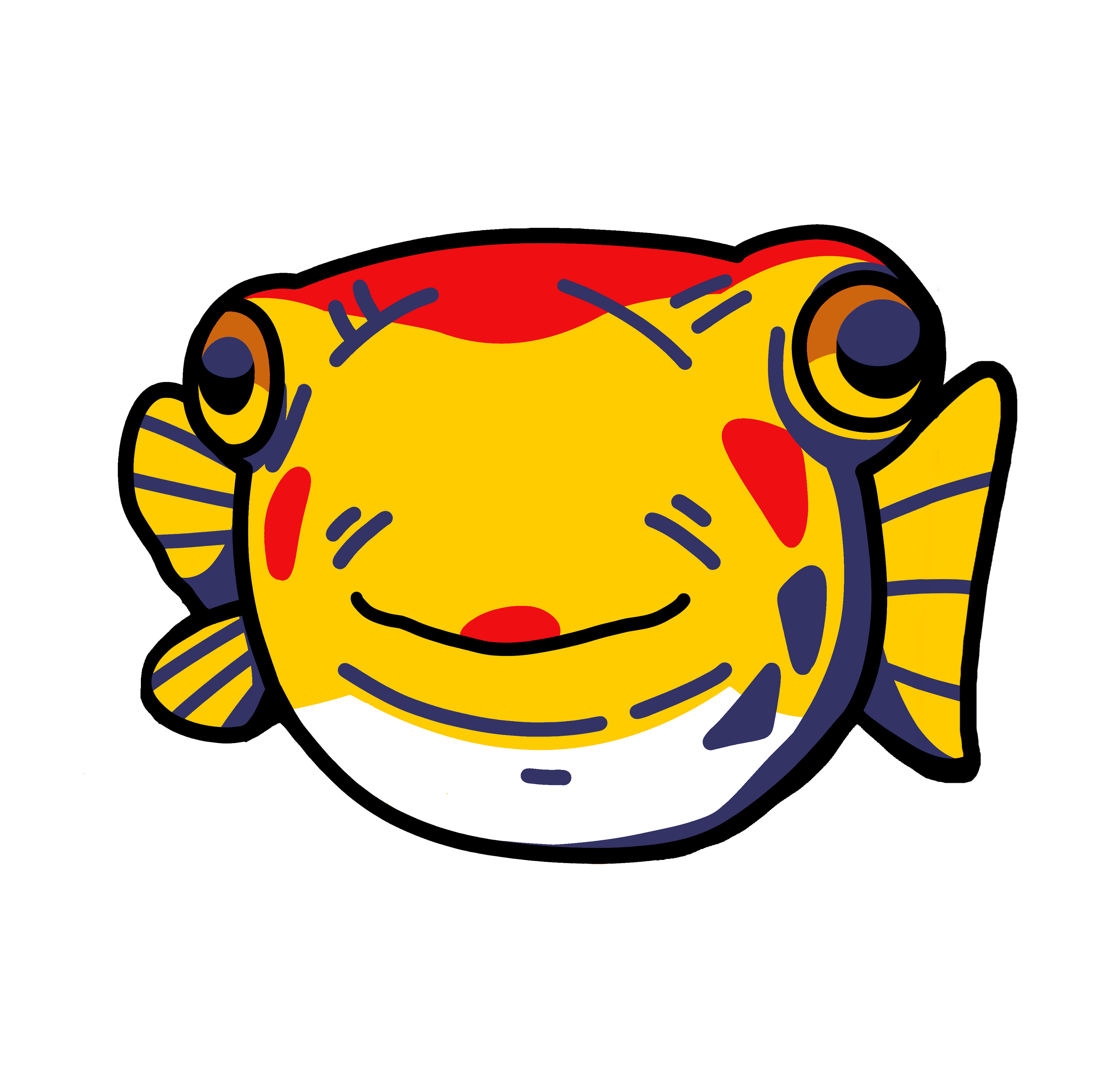 shirt fish